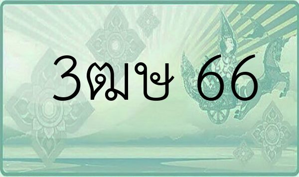 3ฒษ 66